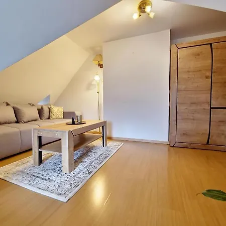 70m2 Z 3 Pokojami Na Poddaszu - Blisko Butorowego Wierchu Apartment Koscielisko